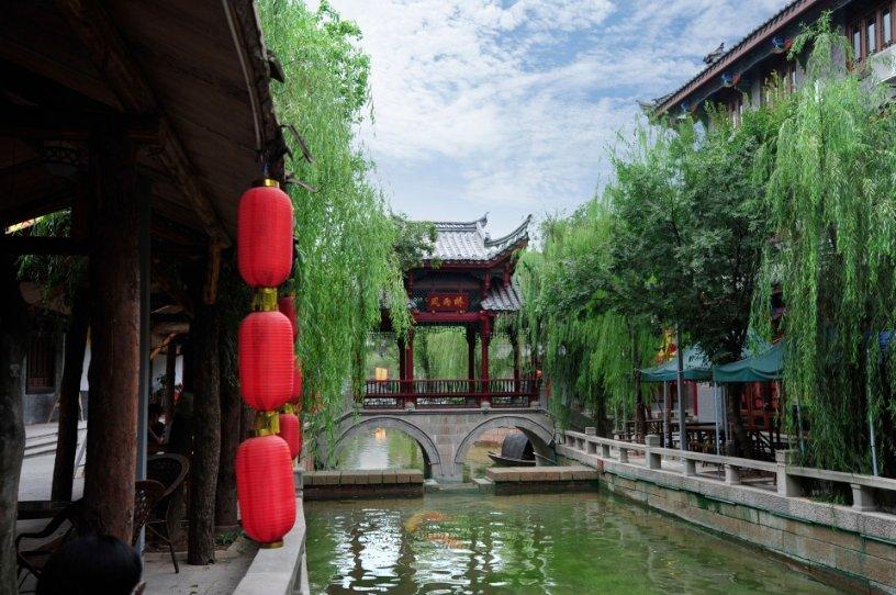 饥饿的哈利